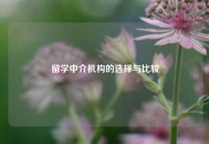 留学中介机构的选择与比较