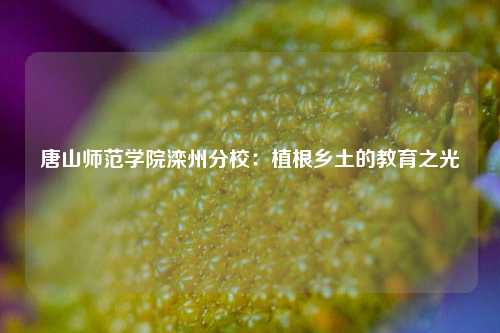 唐山师范学院滦州分校:植根乡土的教育之光
