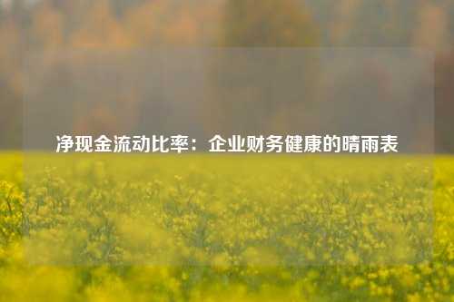 净现金流动比率:企业财务健康的晴雨表