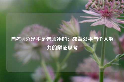 自考60分是不是老师凑的:教育公平与个人努力的辩证思考