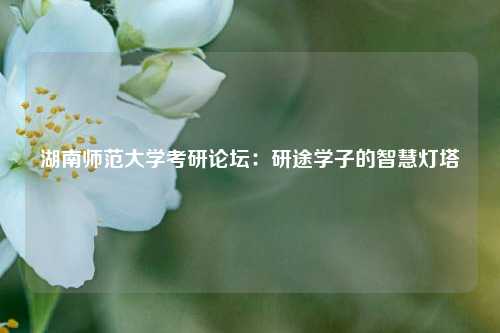 湖南师范大学考研论坛：研途学子的智慧灯塔