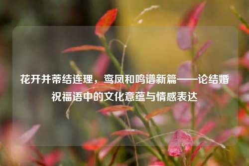 花开并蒂结连理，鸾凤和鸣谱新篇——论结婚祝福语中的文化意蕴与情感表达