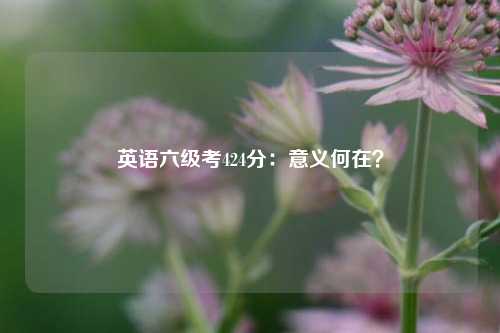 英语六级考424分：意义何在？